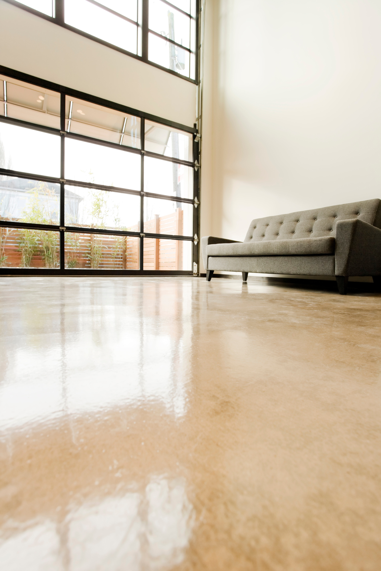 Modern Living Space with Polished Concrete Floor